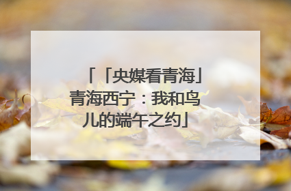 「央媒看青海」青海西宁：我和鸟儿的端午之约