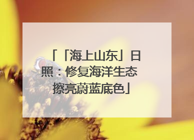 「海上山东」日照：修复海洋生态 擦亮蔚蓝底色
