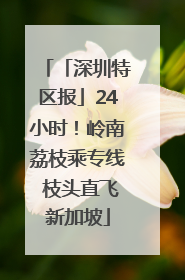 「深圳特区报」24小时！岭南荔枝乘专线 枝头直飞新加坡