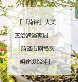 「菏评」大美善治润泽家园——菏泽市网络文明建设综述