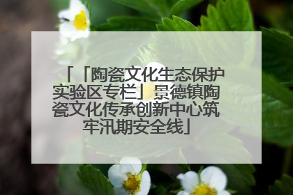 「陶瓷文化生态保护实验区专栏」景德镇陶瓷文化传承创新中心筑牢汛期安全线