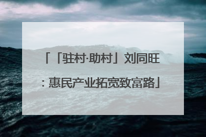 「驻村·助村」刘同旺：惠民产业拓宽致富路