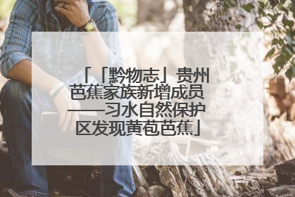「黔物志」贵州芭蕉家族新增成员——习水自然保护区发现黄苞芭蕉