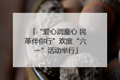 “爱心润童心 民革伴你行”欢度“六一”活动举行