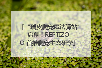 “瑞皮爬宠魔法驿站” 启幕！REPTIZOO 首推爬宠生态研学