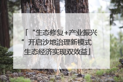 “生态修复+产业振兴”开启沙地治理新模式 生态经济实现双效益