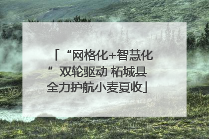 “网格化+智慧化”双轮驱动 柘城县全力护航小麦夏收
