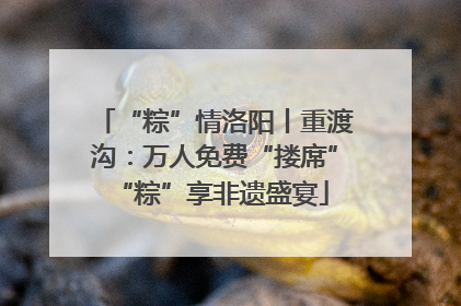 “粽”情洛阳丨重渡沟：万人免费“搂席” “粽”享非遗盛宴