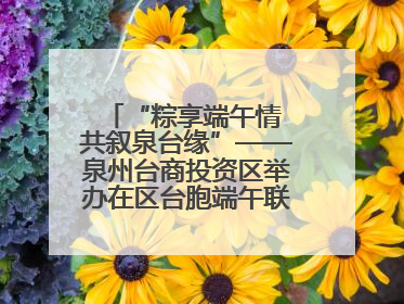 “粽享端午情 共叙泉台缘”——泉州台商投资区举办在区台胞端午联谊活动，共话同源深情