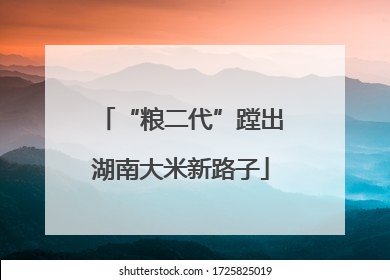 “粮二代”蹚出湖南大米新路子