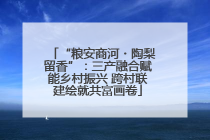 “粮安商河・陶梨留香”：三产融合赋能乡村振兴 跨村联建绘就共富画卷