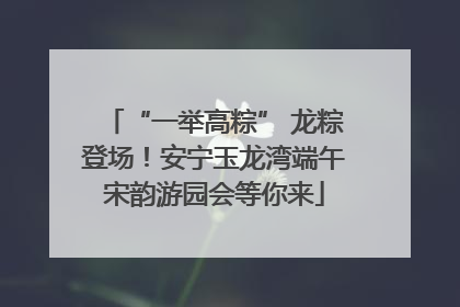 “一举高粽” 龙粽登场！安宁玉龙湾端午宋韵游园会等你来