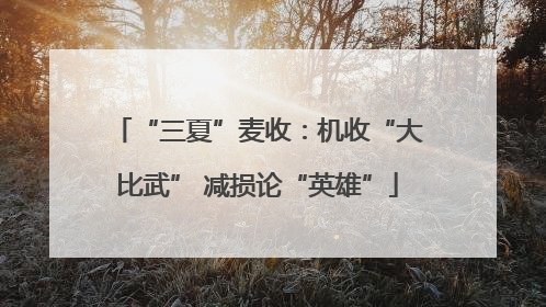 “三夏”麦收：机收“大比武” 减损论“英雄”