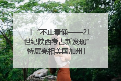 “不止秦俑——21世纪陕西考古新发现”特展亮相美国加州
