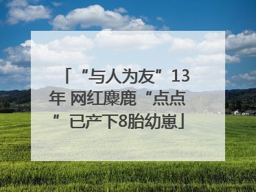 “与人为友”13年 网红麋鹿“点点”已产下8胎幼崽