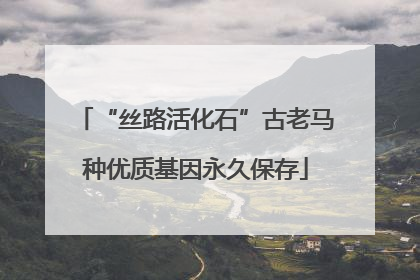 “丝路活化石”古老马种优质基因永久保存