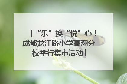 “乐”换“悦”心！成都龙江路小学高翔分校举行集市活动