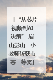 “从芯片视频到AI决策” 眉山彭山一小教师斩获市赛一等奖