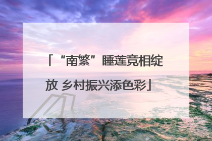 “南繁”睡莲竞相绽放 乡村振兴添色彩