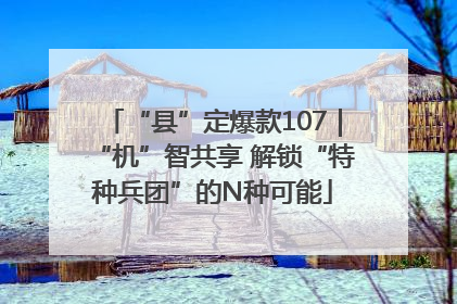 “县”定爆款107｜“机”智共享 解锁“特种兵团”的N种可能