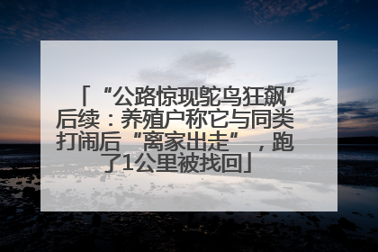 “公路惊现鸵鸟狂飙”后续：养殖户称它与同类打闹后“离家出走”，跑了1公里被找回