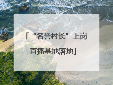 “名誉村长”上岗 直播基地落地
