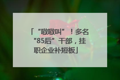“嗷嗷叫”！多名“85后”干部，挂职企业补短板