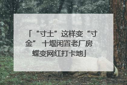 “寸土”这样变“寸金” 十堰闲置老厂房蝶变网红打卡地
