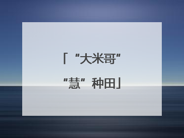 “大米哥”“慧”种田