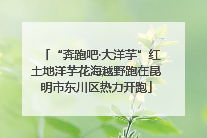 “奔跑吧·大洋芋”红土地洋芋花海越野跑在昆明市东川区热力开跑