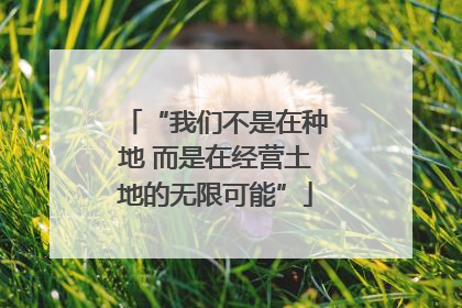 “我们不是在种地 而是在经营土地的无限可能”