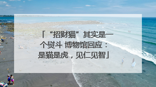 “招财猫”其实是一个熨斗 博物馆回应：是猫是虎，见仁见智