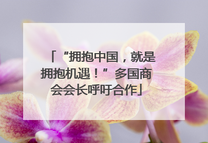 “拥抱中国，就是拥抱机遇！”多国商会会长呼吁合作