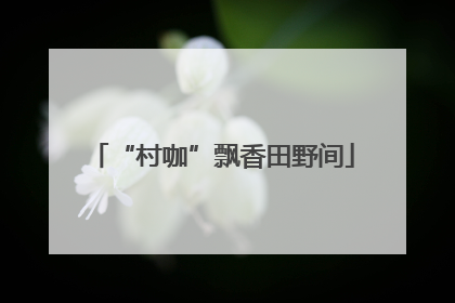 “村咖”飘香田野间