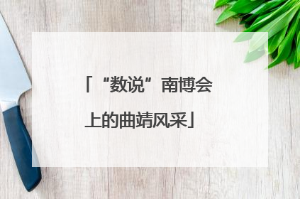 “数说”南博会上的曲靖风采