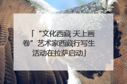“文化西藏 天上画卷”艺术家西藏行写生活动在拉萨启动