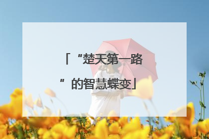 “楚天第一路”的智慧蝶变