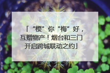 “樱”你“梅”好，互赠物产！烟台和三门开启跨城联动之约