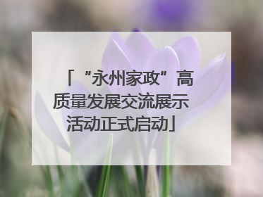“永州家政”高质量发展交流展示活动正式启动