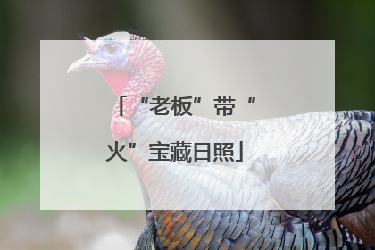 “老板”带“火”宝藏日照