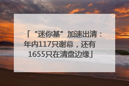 “迷你基”加速出清：年内117只谢幕，还有1655只在清盘边缘