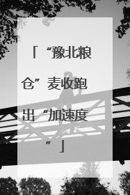 “豫北粮仓”麦收跑出“加速度”