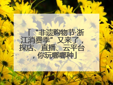 “非遗购物节·浙江消费季”又来了，探店、直播、云平台，你玩哪哪种