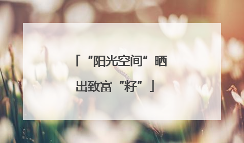 “阳光空间”晒出致富“籽”