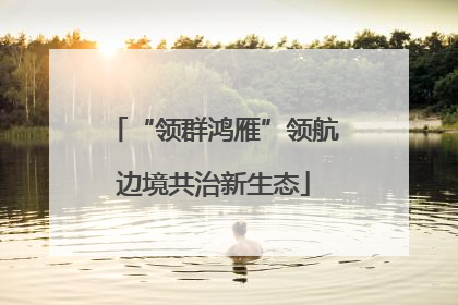 “领群鸿雁”领航边境共治新生态
