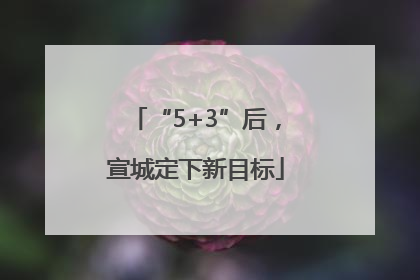 “5+3”后，宣城定下新目标