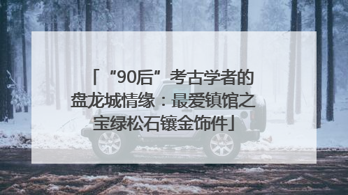 “90后”考古学者的盘龙城情缘：最爱镇馆之宝绿松石镶金饰件
