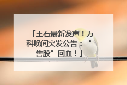 王石最新发声！万科晚间突发公告：“售股”回血！