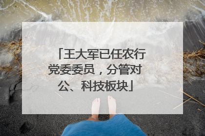 王大军已任农行党委委员，分管对公、科技板块