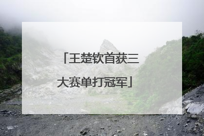 王楚钦首获三大赛单打冠军